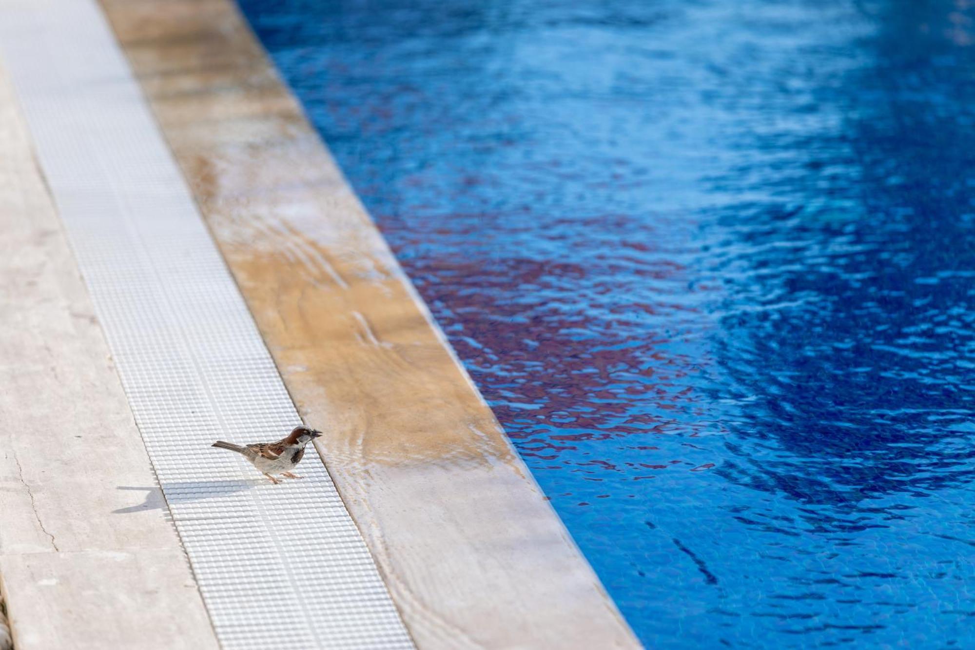 N Hotels Cesme Dalyankoy  Buitenkant foto